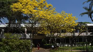 O campus do Colégio Santa Cruz é privilegiado - divulgação