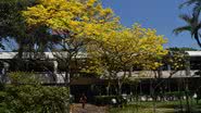 O campus do Colégio Santa Cruz é privilegiado - divulgação